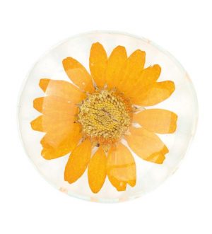 Flower Power Magnete