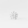 Chrysantheme